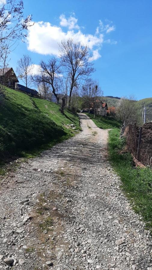 Villa Casa In Curte La Zavate Bran  Esterno foto